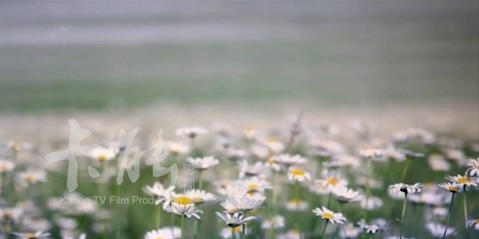 prugio park wan seo TVC